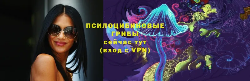 МЕГА   Волгоград  Псилоцибиновые грибы Psilocybe  что такое  